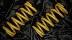 PSM 6KG MAX Super Light Linear Spring 61mmID 180mm Length (PAIR)