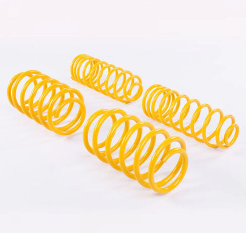 BMW E46 40/30mm Lowering Springs – Racer Products